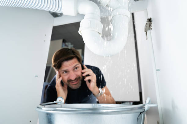 Best Sewer Cleaning Services  in Waterville, MN