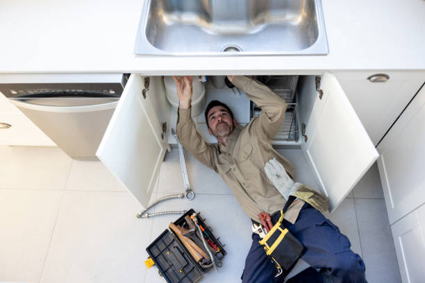 Best Toilet Repair Services  in Waterville, MN