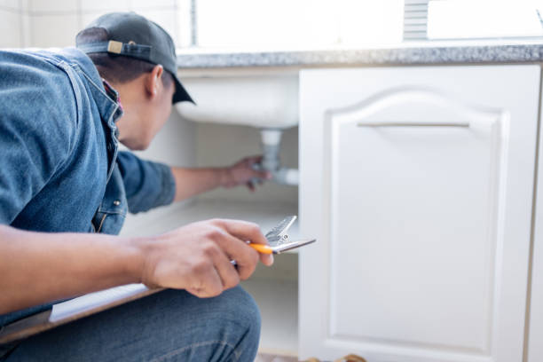 Best Clogged Drain Plumber  in Waterville, MN